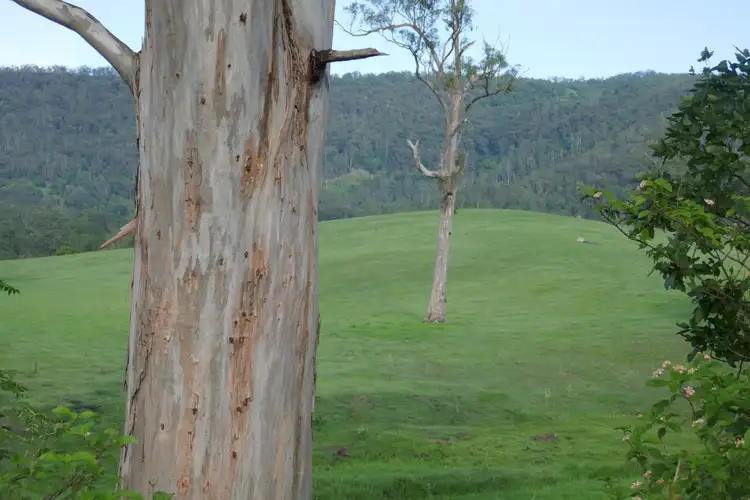 Fifth view of Homely rural property listing, 59 Chelmsford Rd, Rock Valley NSW 2480