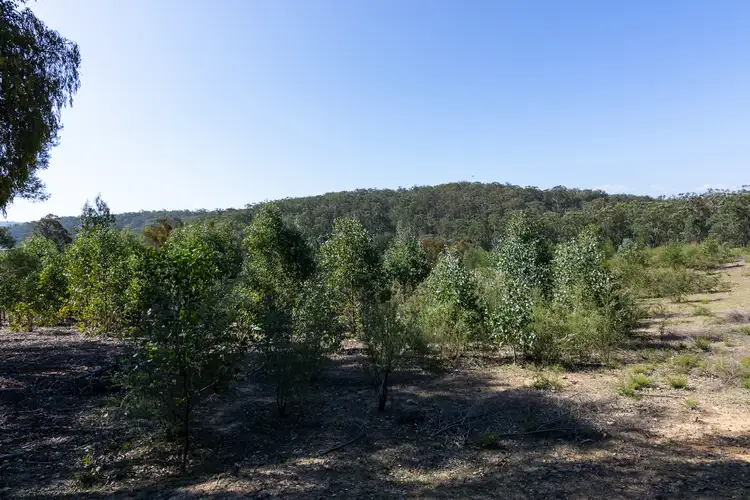 Seventh view of Homely rural property listing, 24 Gardam Ct, Bruthen VIC 3885
