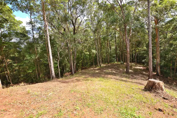 Third view of Homely land listing, 230 Hunchy Rd, Hunchy QLD 4555
