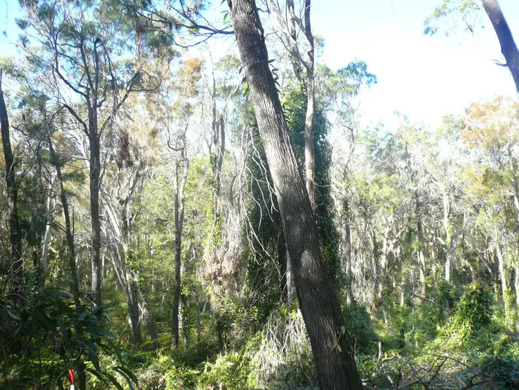 Main view of Homely land listing, 18 Timothy Street, Macleay Island QLD 4184
