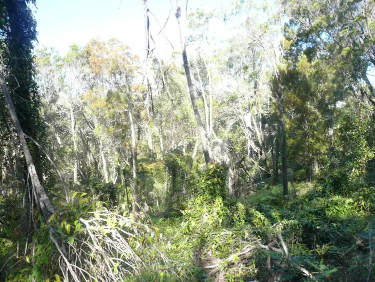 Second view of Homely land listing, 18 Timothy Street, Macleay Island QLD 4184