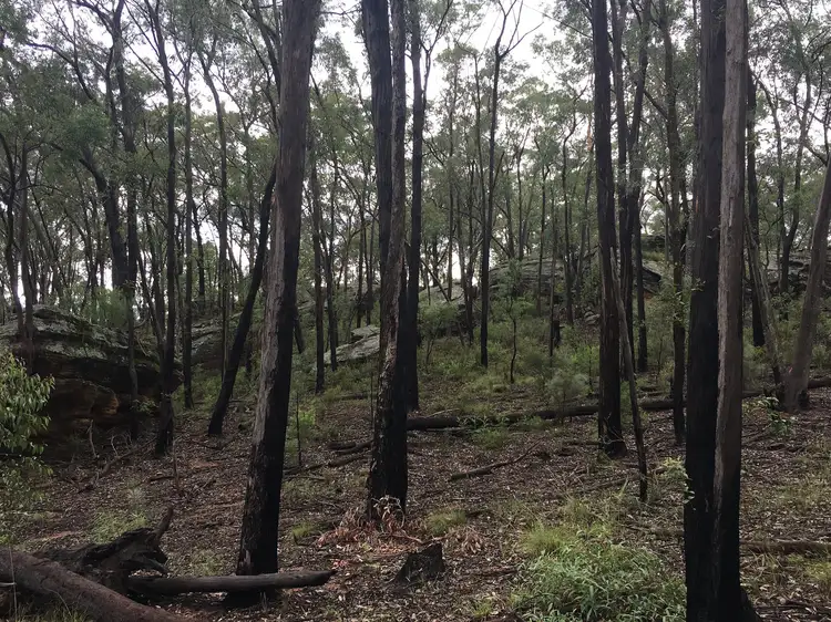 Fourth view of Homely rural property listing, 936 C Putty Valley Rd, Putty NSW 2330