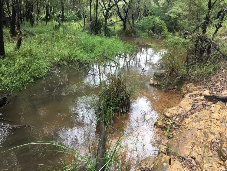 Seventh view of Homely rural property listing, 936 C Putty Valley Rd, Putty NSW 2330