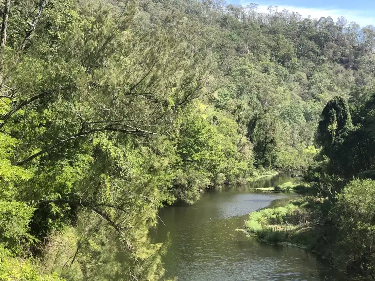 Fourth view of Homely rural property listing, LOT 35 Findon Creek Road, Kyogle NSW 2474