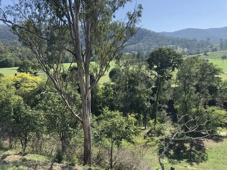 Sixth view of Homely rural property listing, LOT 35 Findon Creek Road, Kyogle NSW 2474