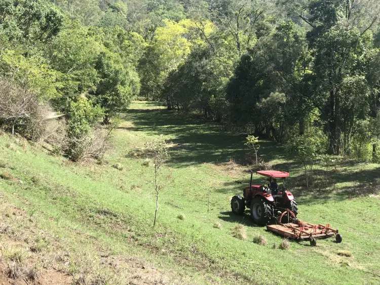 Seventh view of Homely rural property listing, LOT 35 Findon Creek Road, Kyogle NSW 2474