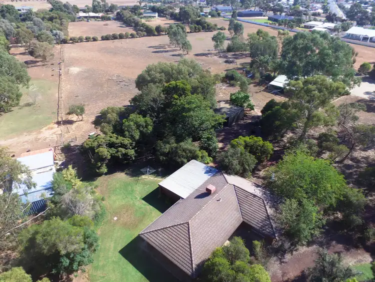 Third view of Homely house listing, 29 Catona Cres, Cobram VIC 3644