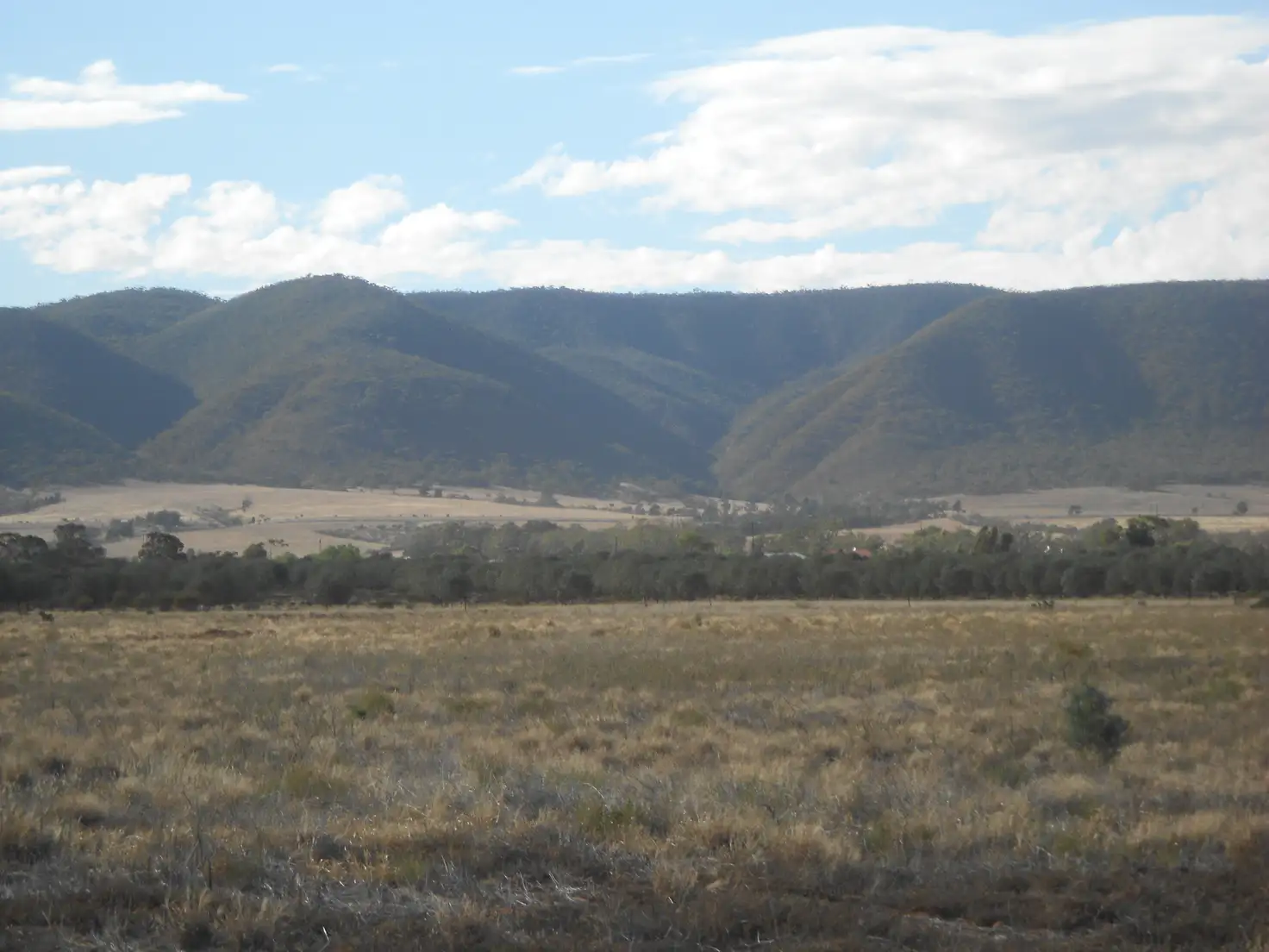 Main view of Homely land listing, Sec 238 Olive Grove Road, Napperby SA 5540