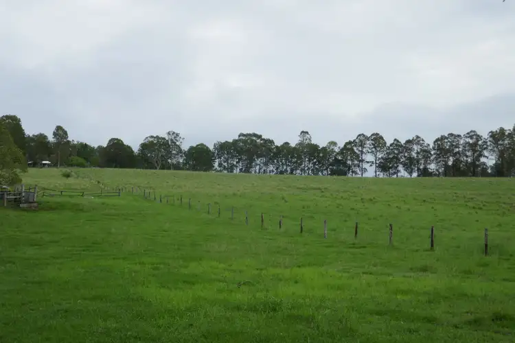 Second view of Homely rural property listing, 320 McDonald's Bridge Road, Kyogle NSW 2474
