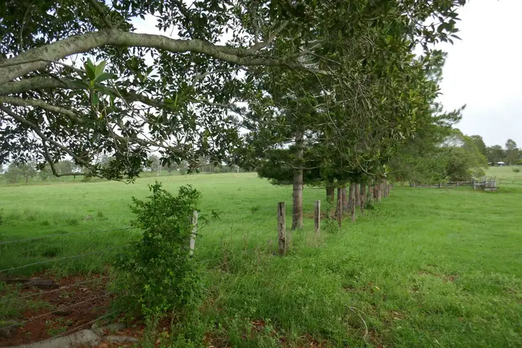 Fourth view of Homely rural property listing, 320 McDonald's Bridge Road, Kyogle NSW 2474