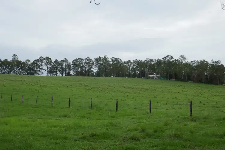 Fifth view of Homely rural property listing, 320 McDonald's Bridge Road, Kyogle NSW 2474