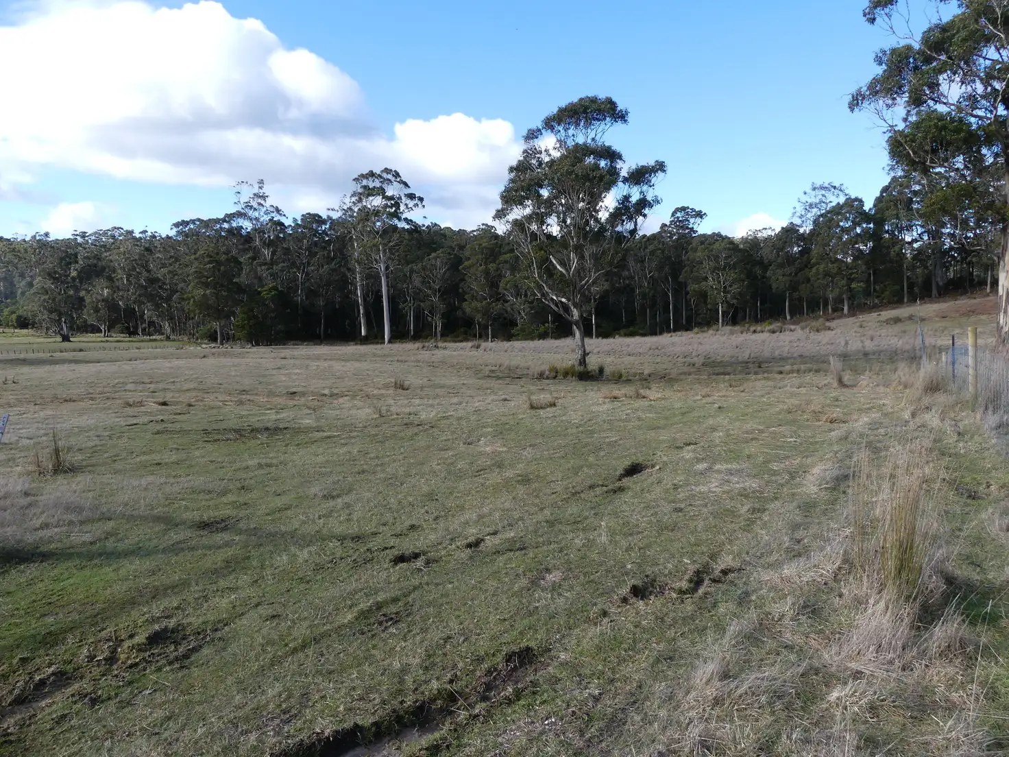 Main view of Homely land listing, Lot 3/253 Quamby Brook Road, Deloraine TAS 7304