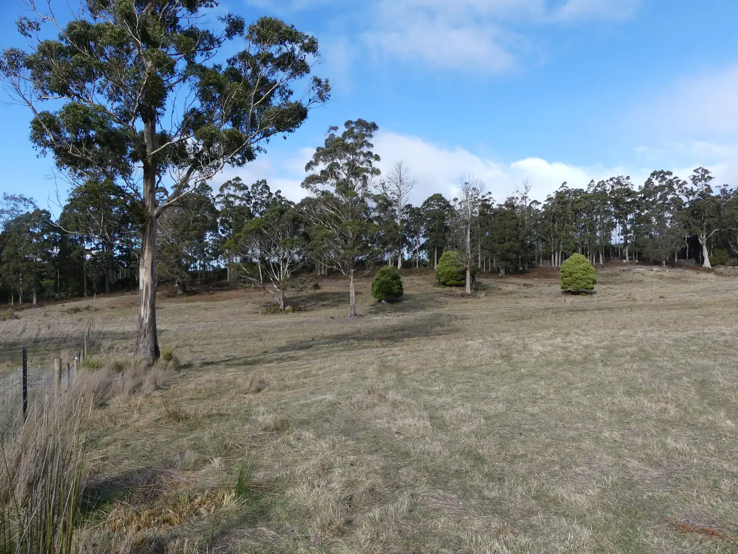 Main view of Homely land listing, Lot 4/253 Quamby Brook Road, Deloraine TAS 7304