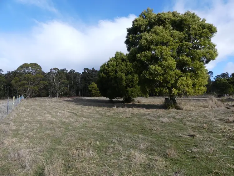 Main view of Homely land listing, Lot 5/253 Quamby Brook Road, Deloraine TAS 7304