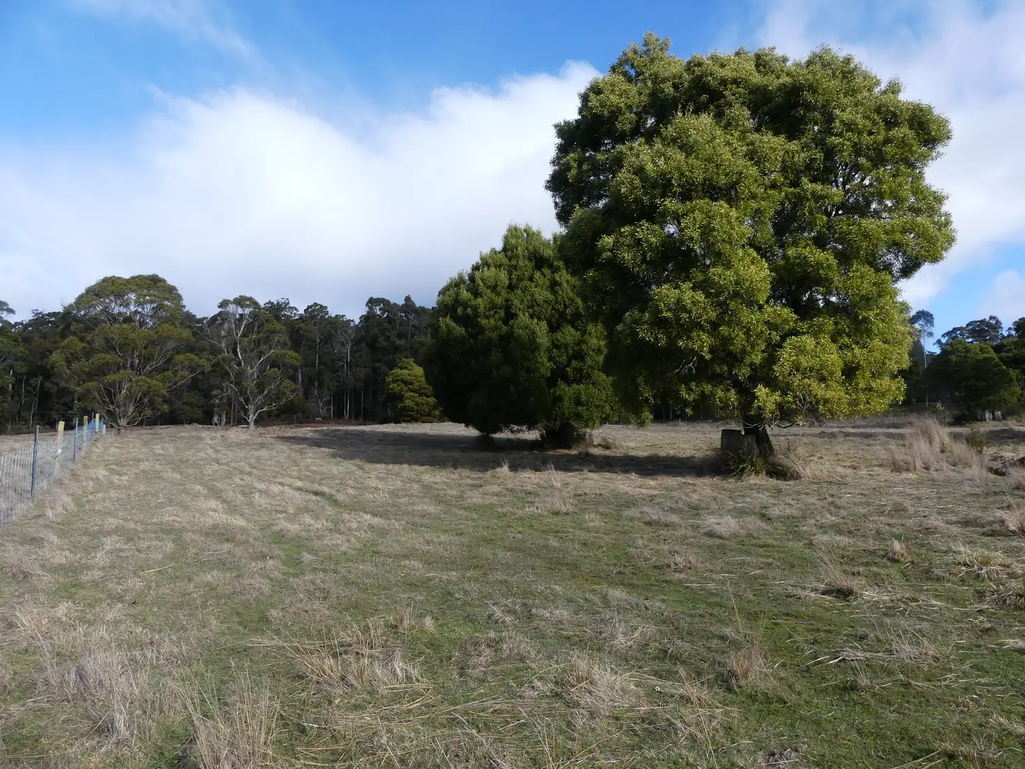 Main view of Homely land listing, Lot 5/253 Quamby Brook Road, Deloraine TAS 7304