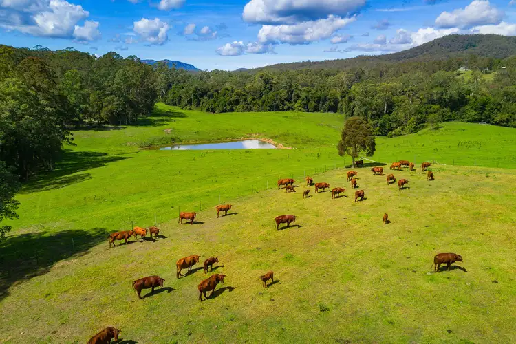 Second view of Homely rural property listing, 947 Pipeclay Road, Pipeclay NSW 2446