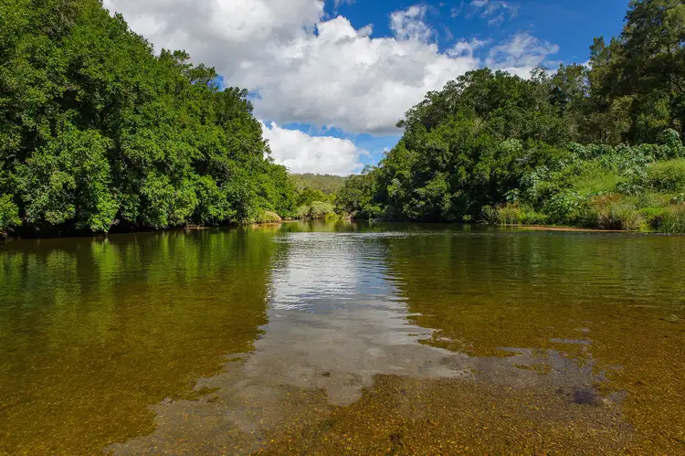 Third view of Homely rural property listing, 947 Pipeclay Road, Pipeclay NSW 2446