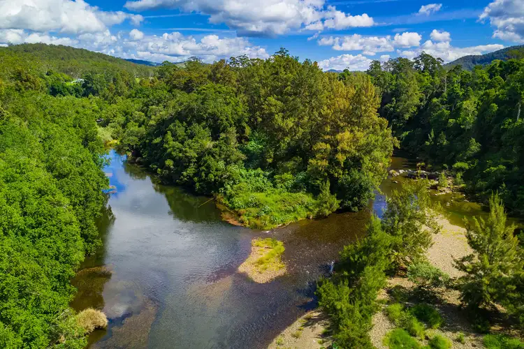 Fourth view of Homely rural property listing, 947 Pipeclay Road, Pipeclay NSW 2446