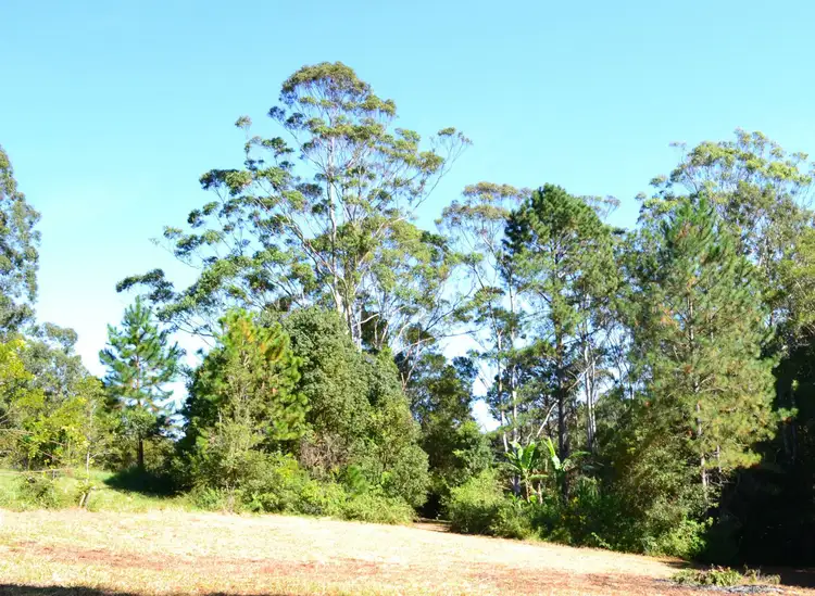 Fifth view of Homely house listing, 591 Friday Hut Road, Possum Creek NSW 2479