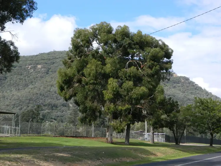Fifth view of Homely land listing, 55 Ilford Rd, Kandos NSW 2848