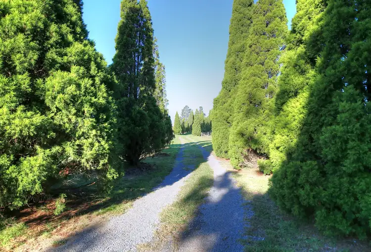 Fourth view of Homely rural property listing, 265 Montpelier Dr, The Oaks NSW 2570