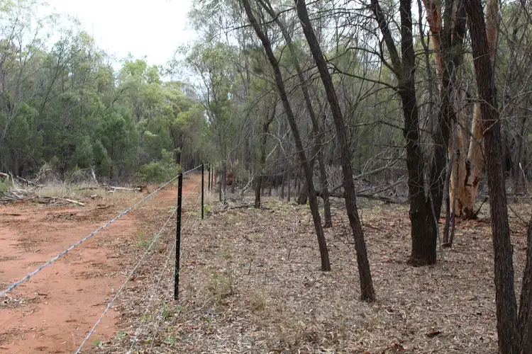 Seventh view of Homely rural property listing, LOT 25 Wirraway Ave, Leyburn QLD 4365