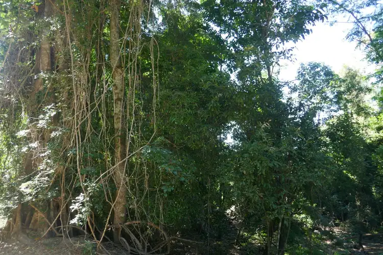 Sixth view of Homely rural property listing, 450 Sykes Gap Road, Tenterfield NSW 2372