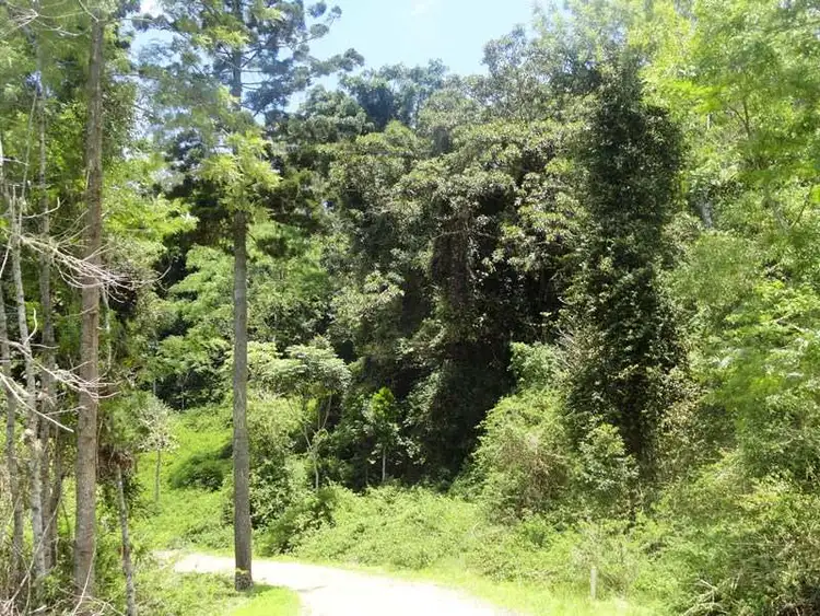 Seventh view of Homely rural property listing, 450 Sykes Gap Road, Tenterfield NSW 2372