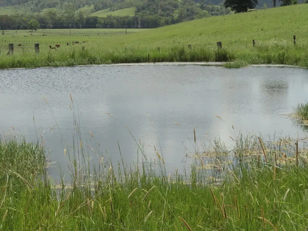 Main view of Homely rural property listing, Address available on request