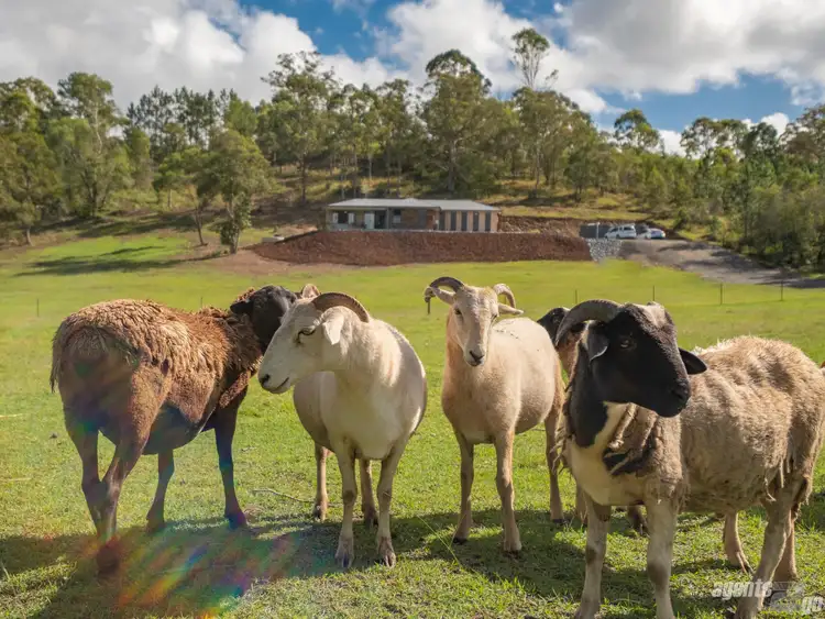Second view of Homely house listing, 287 East Deep Creek Rd, East Deep Creek QLD 4570