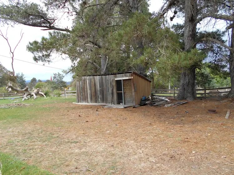 Fifth view of Homely rural property listing, 13 Argyle/Henry St, Mangana TAS 7214