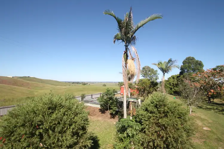 9 Hillside Dr, Fairy Hill NSW 2470