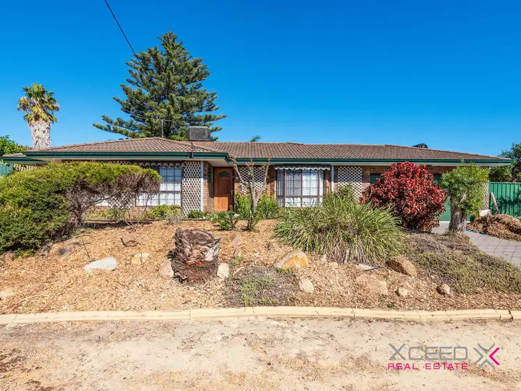 Main view of Homely house listing, 204 Dampier Ave, Kallaroo WA 6025