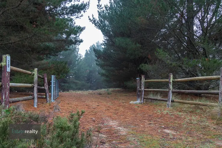 Main view of Homely rural property listing, 70 Wolgal Road, Anembo NSW 2621