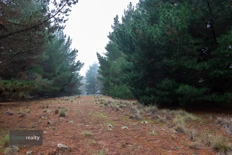Third view of Homely rural property listing, 70 Wolgal Road, Anembo NSW 2621