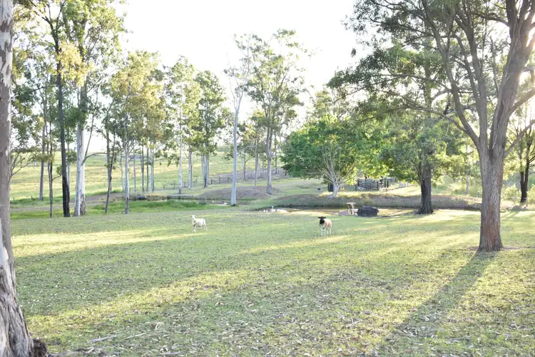 Seventh view of Homely rural property listing, 1961 Maryborough Biggenden Rd, Yerra QLD 4650