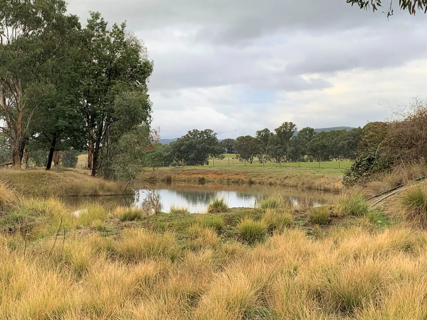 Main view of Homely land listing, Lot/1 Star Lane, Wooragee VIC 3747