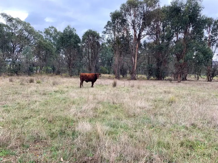 Fourth view of Homely land listing, Lot/1 Star Lane, Wooragee VIC 3747