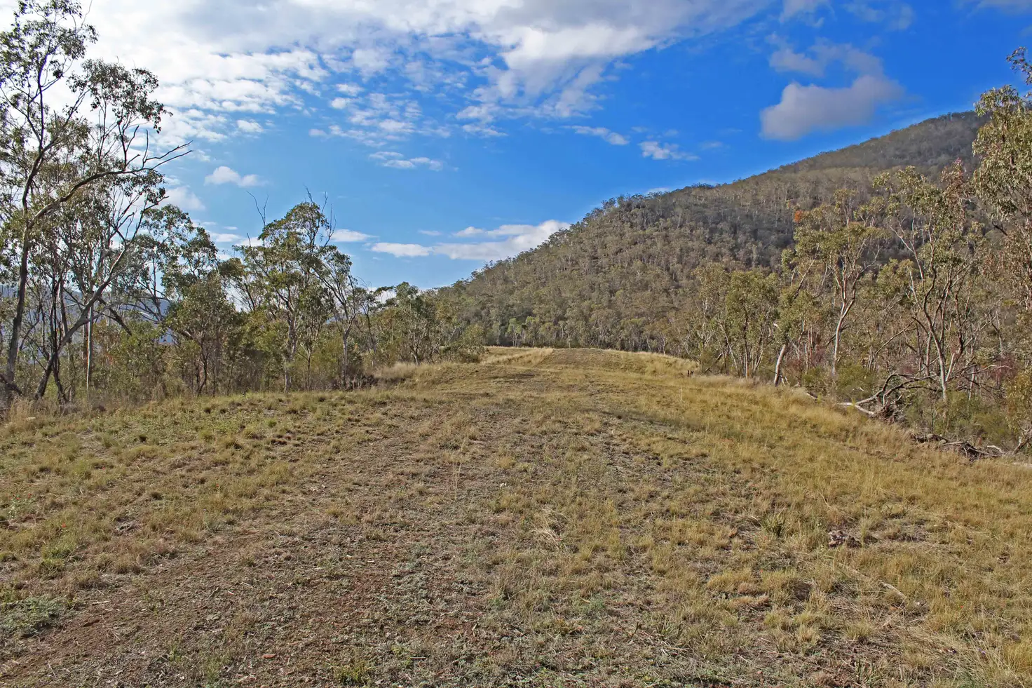 Main view of Homely rural property listing, Address available on request