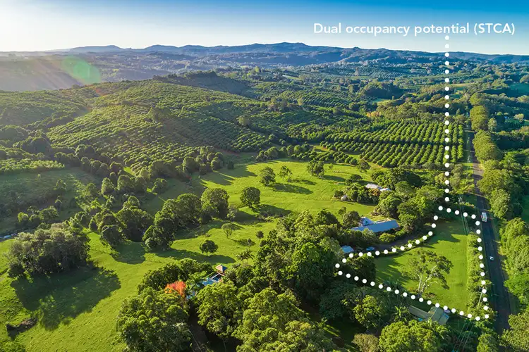 Fifth view of Homely house listing, 239 Rosebank Rd, Rosebank NSW 2480