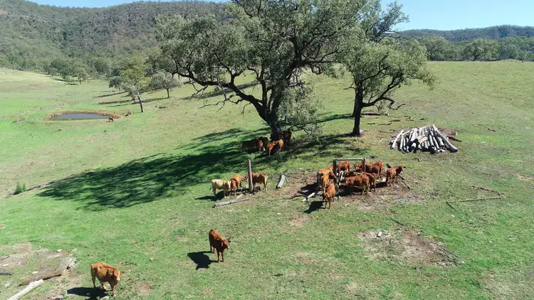 Sixth view of Homely rural property listing, 284 Mulgowie Rd, Townson QLD 4341