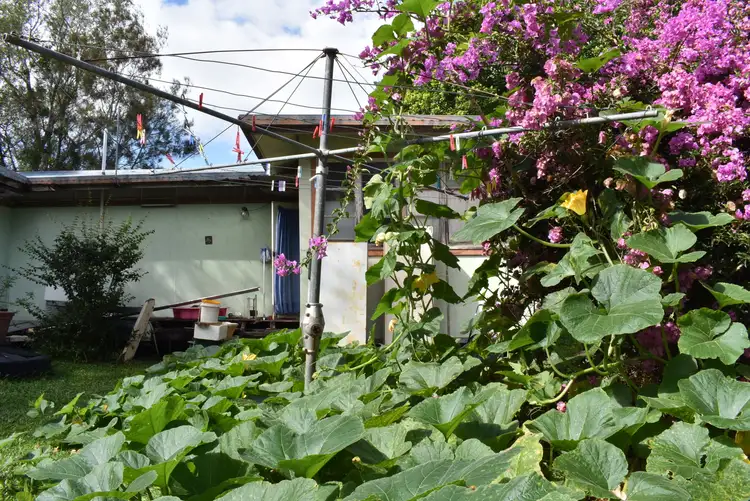 Second view of Homely house listing, 41 William St, Howard QLD 4659
