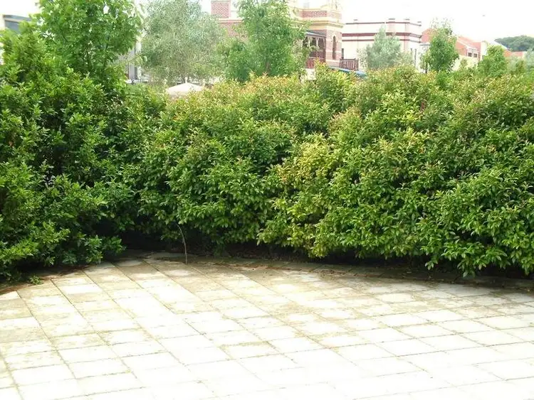 Third view of Homely apartment listing, 10/134 Aberdeen Street, Northbridge WA 6003