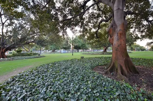 Fourth view of Homely unit listing, Unit 43/191 James Street, Northbridge WA 6003