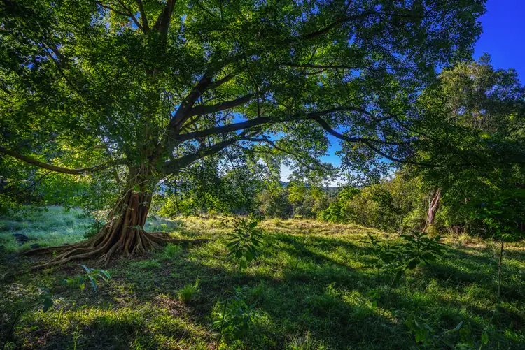 Sixth view of Homely land listing, 78 Simba Rd, West Woombye QLD 4559