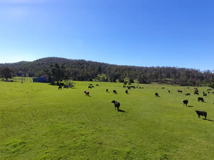 484 Pigman Rd, Dyraaba NSW 2470