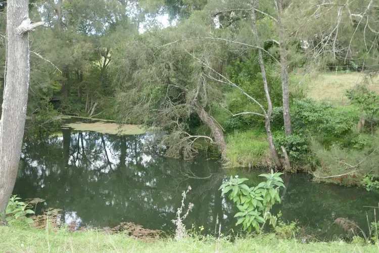 Second view of Homely rural property listing, 4 Olympian Road, Kyogle NSW 2474