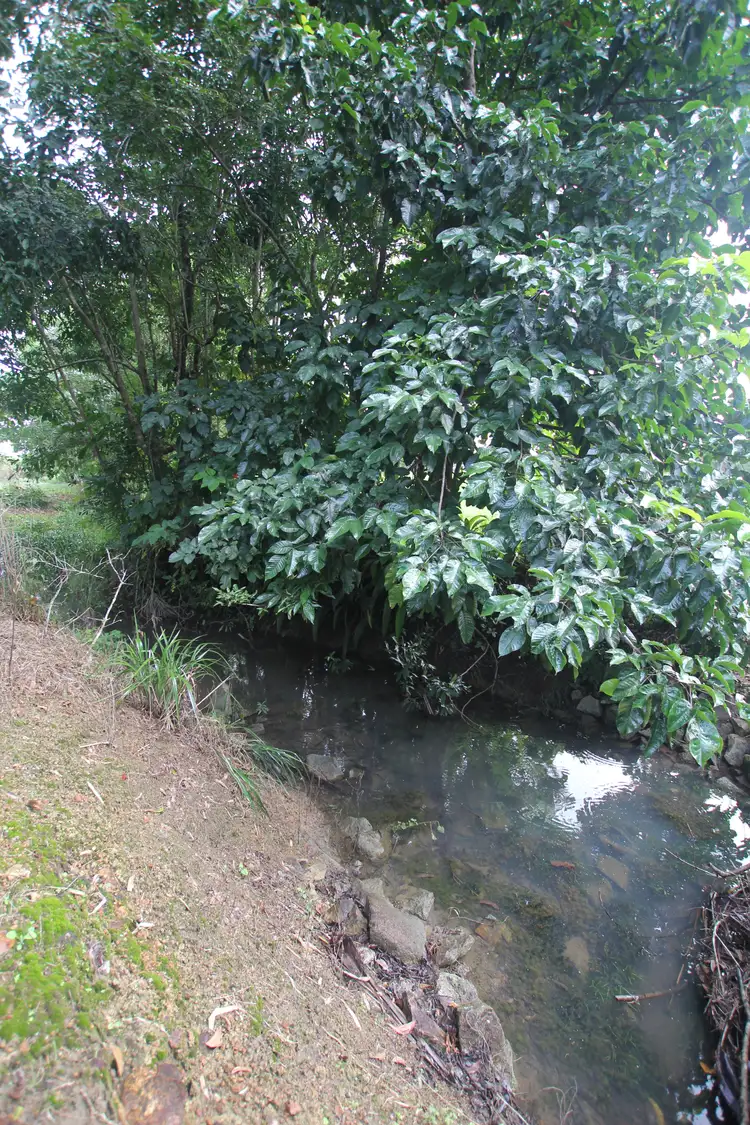Fifth view of Homely land listing, 129 Silkwood Japoon Road, Silkwood QLD 4856