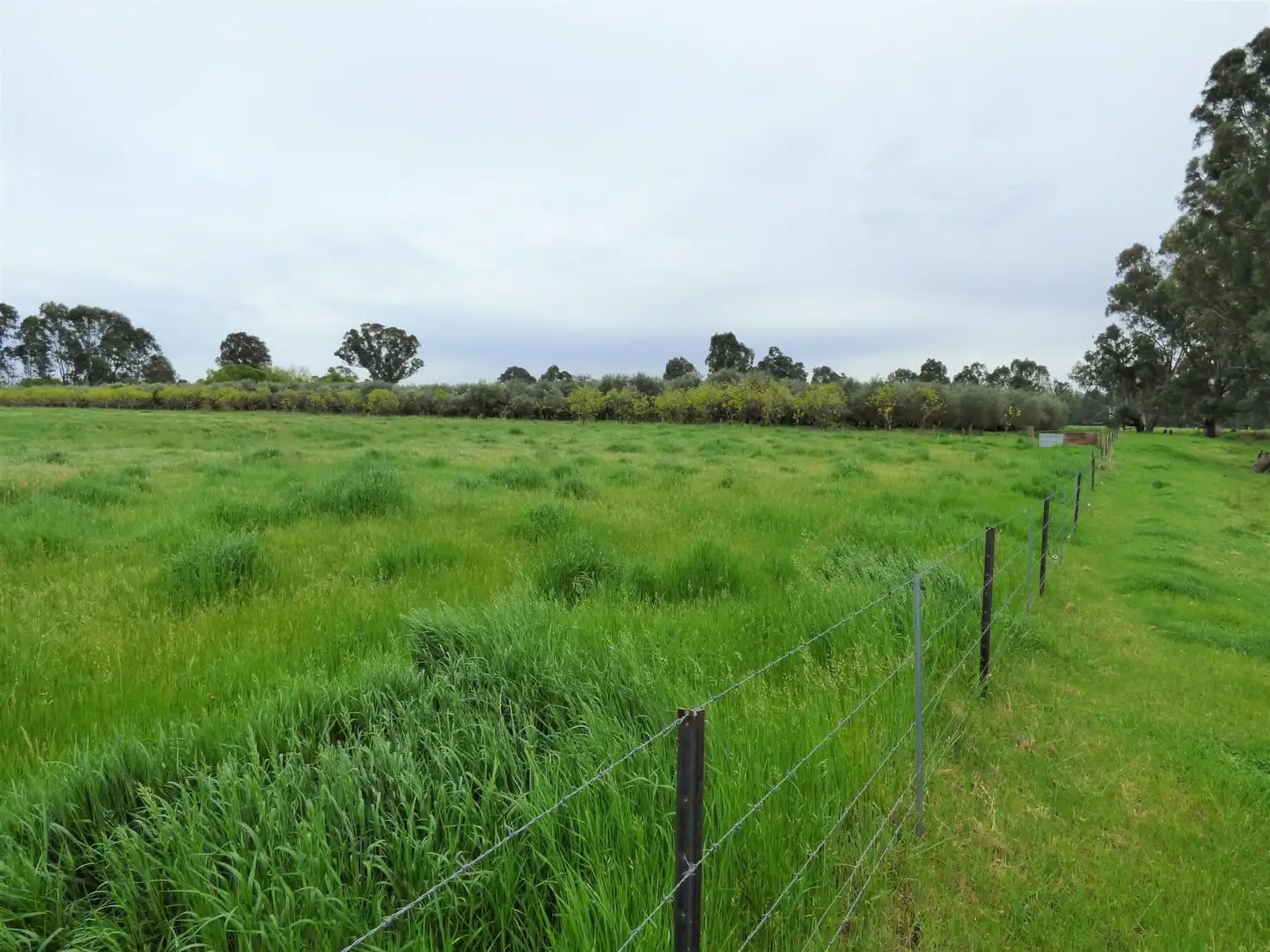 Main view of Homely rural property listing, Lot 2 Whorouly Road, Whorouly VIC 3735