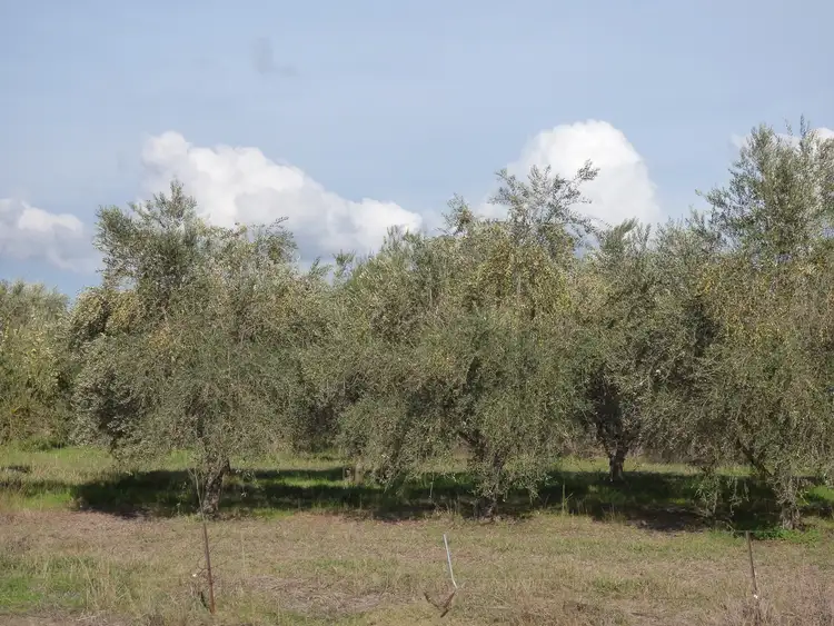 Sixth view of Homely rural property listing, Lot 2 Whorouly Road, Whorouly VIC 3735